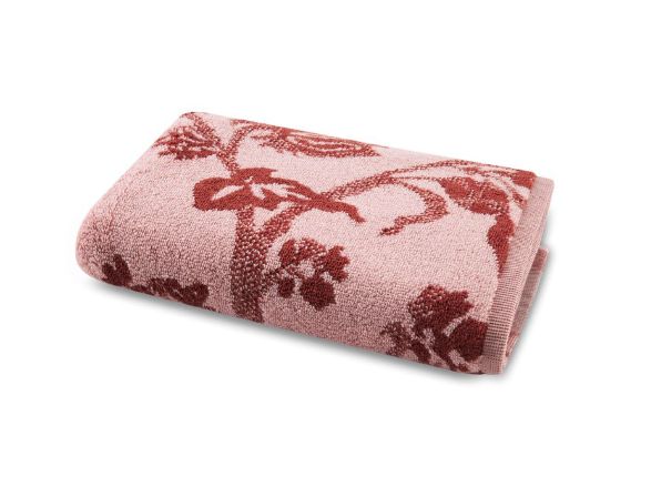 Vacchetti | Asciugamano Ospite Granfoulard Bassetti Genova Spugna Di Cotone 