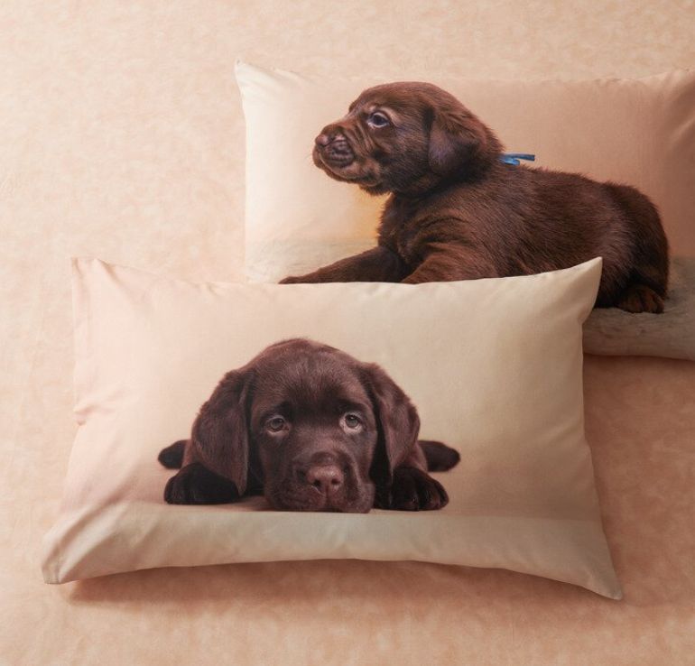 Vacchetti | Completo Copripiumone 1 Piazza E Mezza Chocolate Labrador Bassetti Cotone 